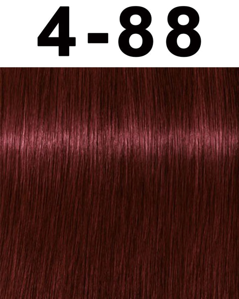 Schwarzkopf Igora Color10 Hair Color