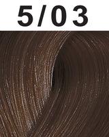 Wella Professionals Color Touch Hair Color
