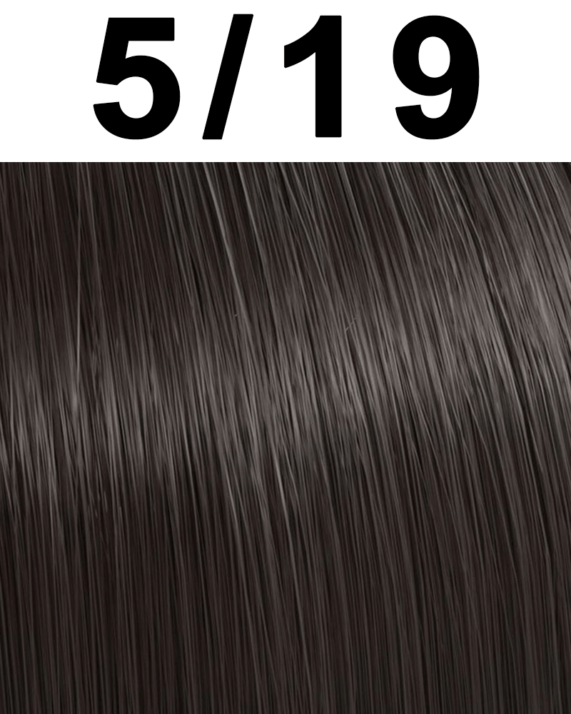 Wella Professionals Color Touch Hair Color