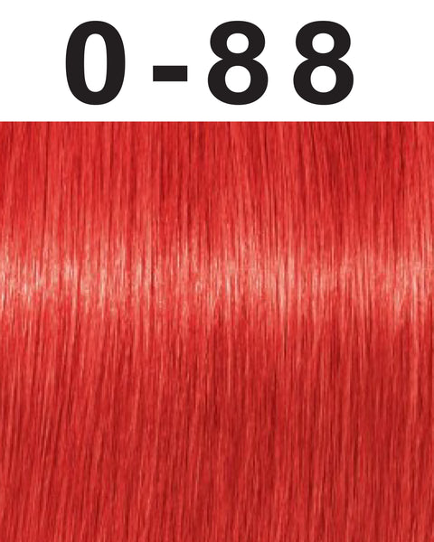 Schwarzkopf Igora Royal Permanent Hair Color