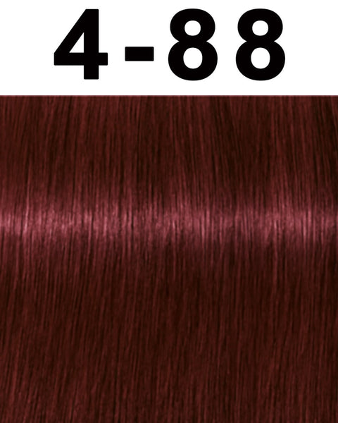Schwarzkopf Igora Royal Permanent Hair Color