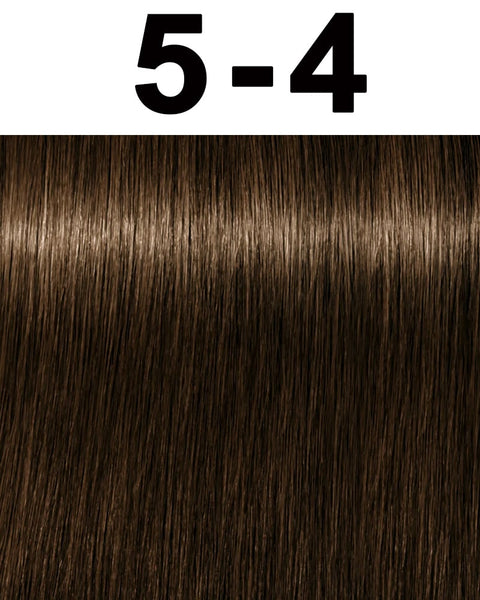 Schwarzkopf Igora Royal Permanent Hair Color