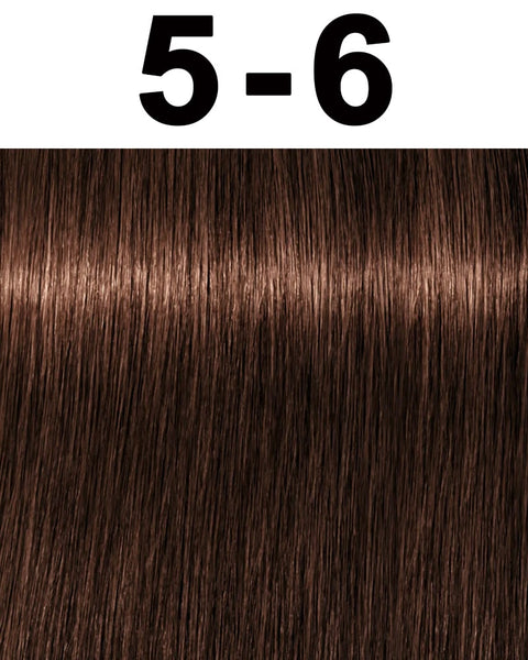 Schwarzkopf Igora Royal Permanent Hair Color