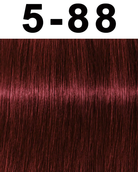 Schwarzkopf Igora Royal Permanent Hair Color