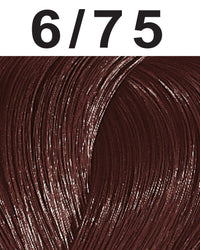 6/75 Dark Blonde - Brown Red-Violet