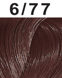 6/77 Dark Blonde - Intense Brown