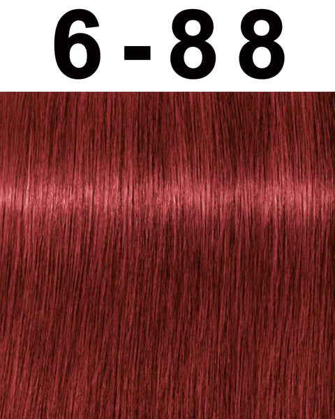 Schwarzkopf Igora Royal Permanent Hair Color
