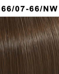 66/07 Intense Dark Blonde/Natural Brown
