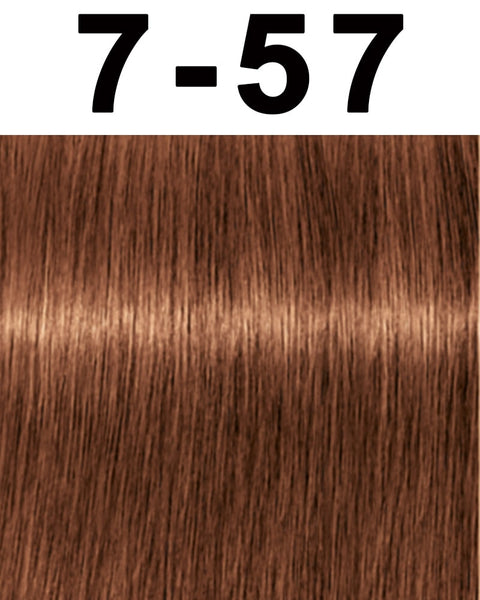 Schwarzkopf Igora Royal Permanent Hair Color