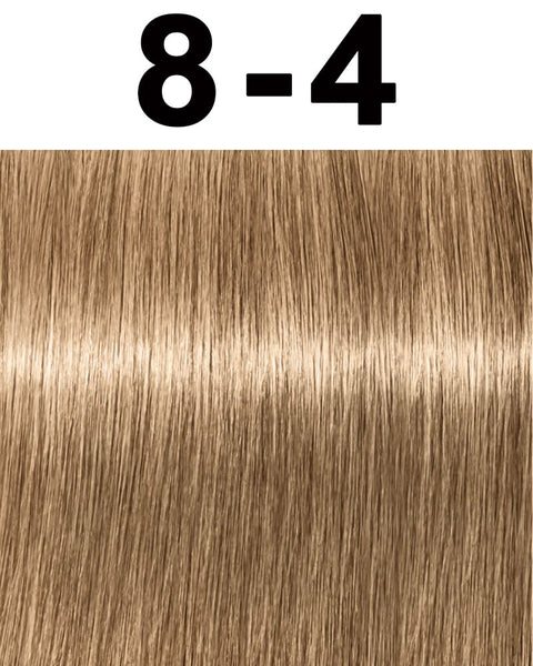 Schwarzkopf Igora Royal Permanent Hair Color