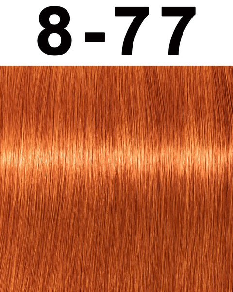 Schwarzkopf Igora Royal Permanent Hair Color