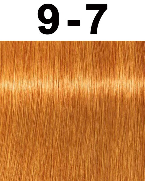 Schwarzkopf Igora Royal Permanent Hair Color