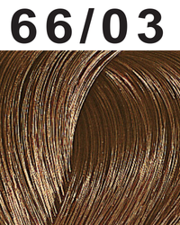 66/03 Intense Dark Blonde